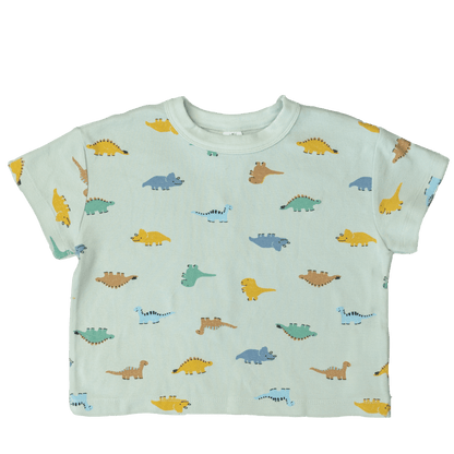 Soft cotton kids t-shirt in mint green with dinosaur print - toddler graphic tee
